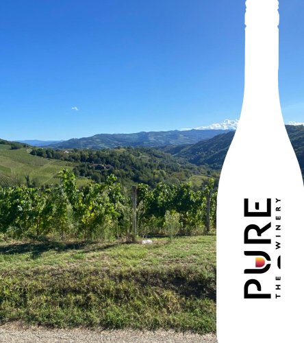Photo post from purethewinery.