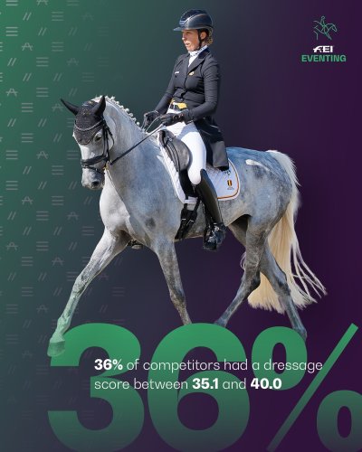 Carousel post from fei_global.