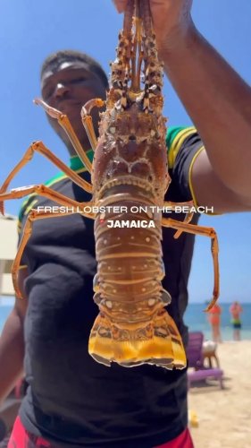 Video post from thingstodoinjamaica.