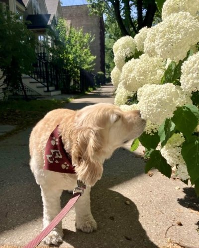 Photo post from bostoncollege.