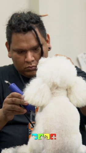 Video post from medicalpettj.