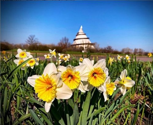 Photo post from visit.magdeburg.