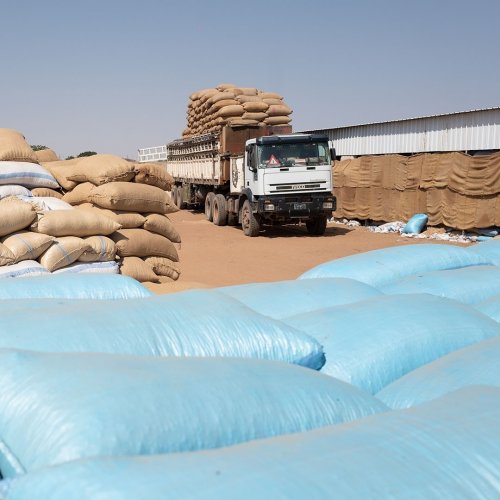 Photo post from unops_official.