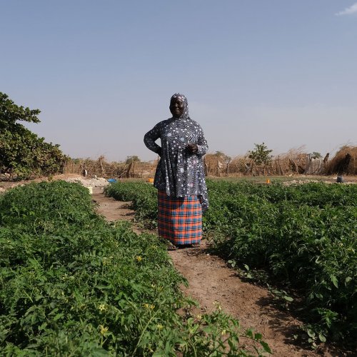 Photo post from unops_official.