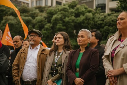 Carousel post from nzgreenparty.