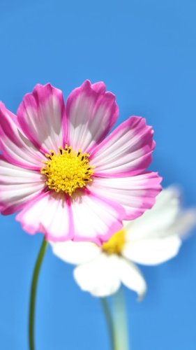 Video post from currumbinvalleyharvest.