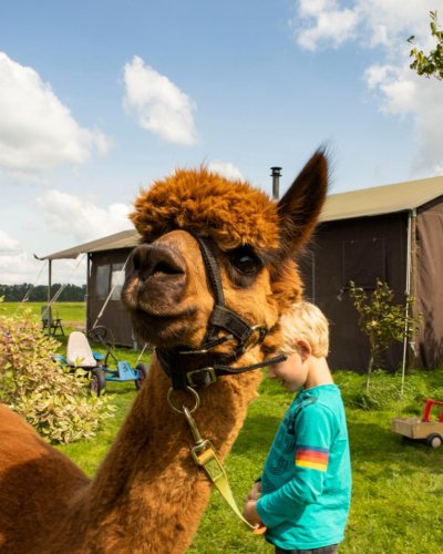 Carousel post from glampings.