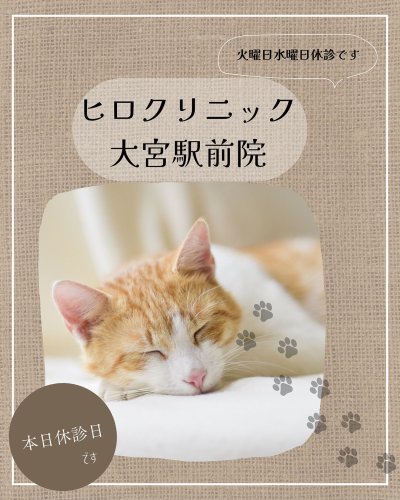 Photo post from hiroclinic_nipt_official.