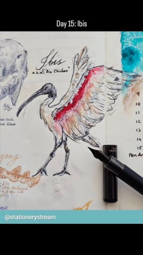 Video post from penandinkchallenge.