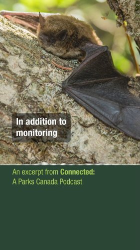 Video post from parks.canada.