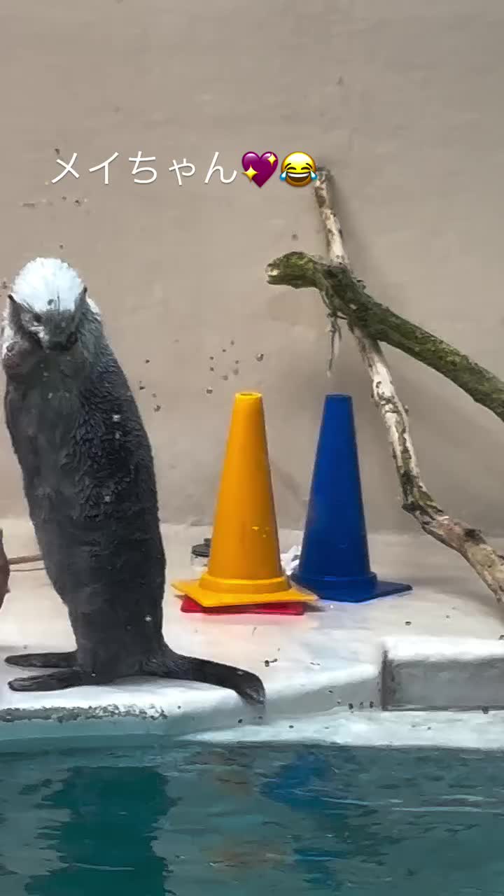 Video post.