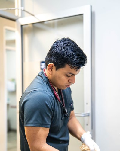 Photo post from medicalpettj.