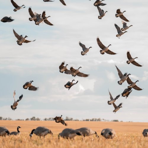 Photo post from northernskiesoutfitters.