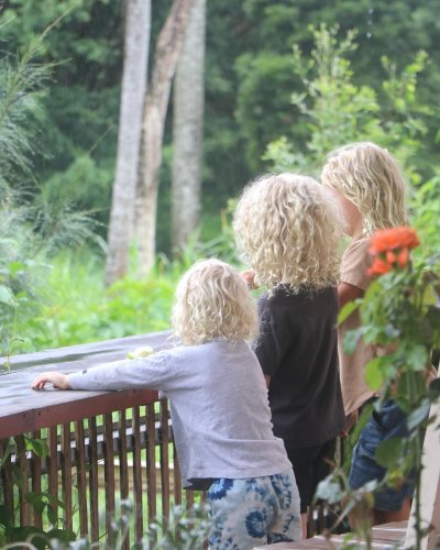 Carousel post from currumbinvalleyharvest.
