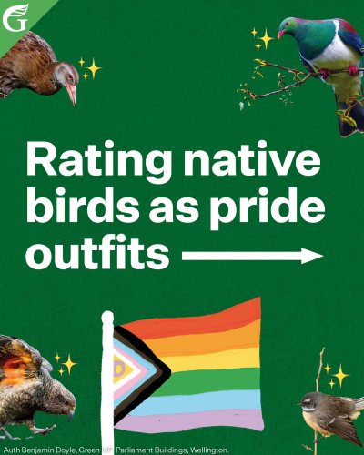 Carousel post from nzgreenparty.