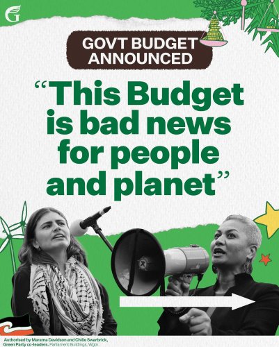 Carousel post from nzgreenparty.