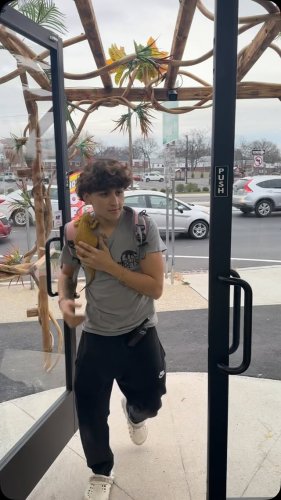 Video post from njexoticpets.