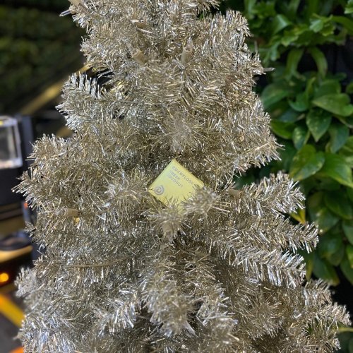 Photo post from trilliumdental.