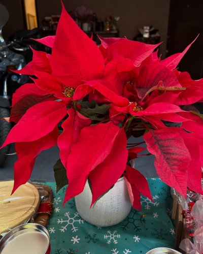 Carousel post from la_gifteria.