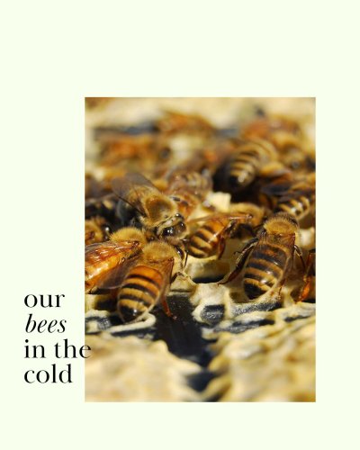 Carousel post from comvita_nz.