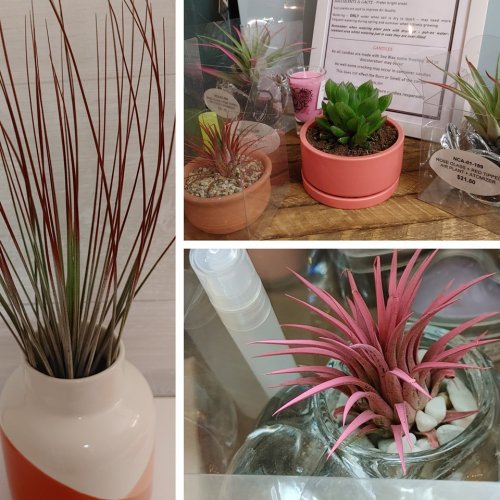 Photo post from niftygiftynorfolk.