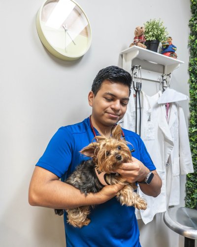 Photo post from medicalpettj.