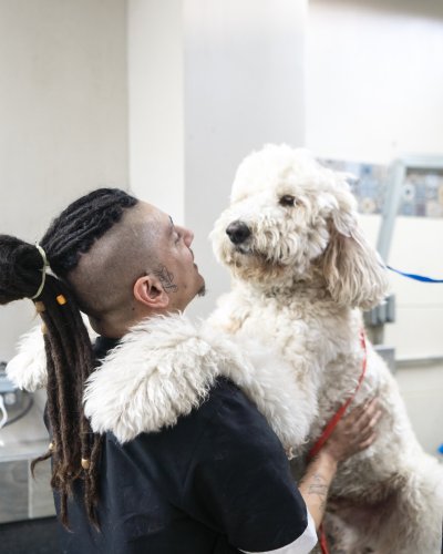 Carousel post from medicalpettj.