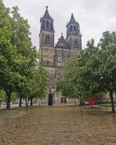 Photo post from visit.magdeburg.