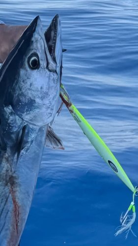 Video post from ejs_fishing_charters.
