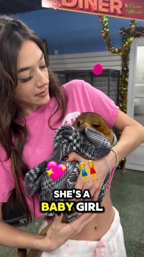 Video post from njexoticpets.