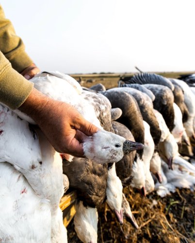 Photo post from northernskiesoutfitters.