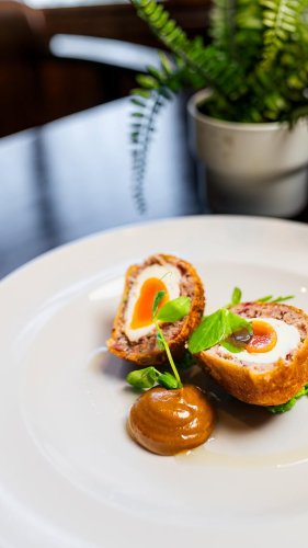 Video post from themoathouse.