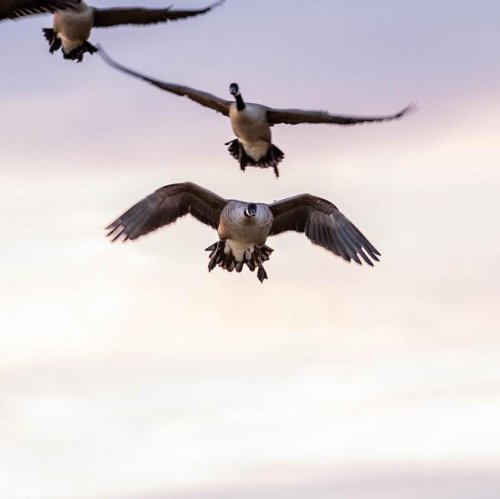 Photo post from northernskiesoutfitters.