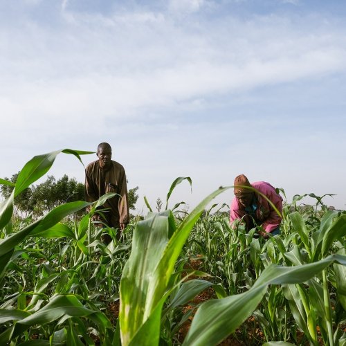 Photo post from unops_official.