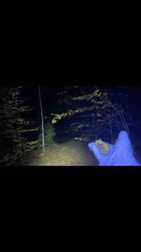 Video post from biodiversityresearchinstitute.