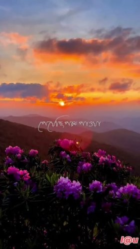 Video post from akashprasenjit.