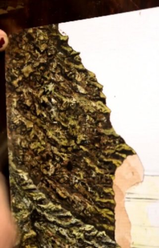 Video post from ira.martelo.