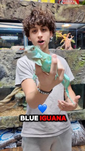 Video post from njexoticpets.
