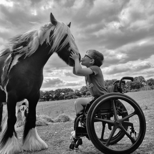 Photo post from george_and_his_ponies.