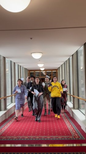 Video post from nzgreenparty.