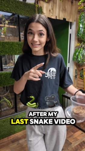 Video post from njexoticpets.