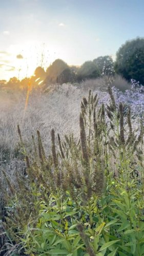 Video post from sussexprairies.