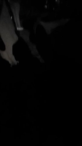 Video post from 229suckafree.