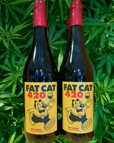 Photo post from dandywineshop.