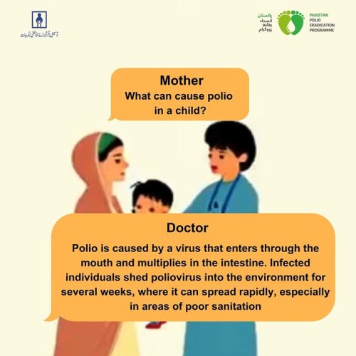 Video post from pakfightspolio.