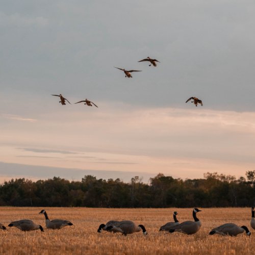 Photo post from northernskiesoutfitters.