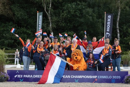 Carousel post from fei_global.