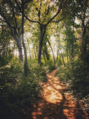 Photo post from the_common_edit.