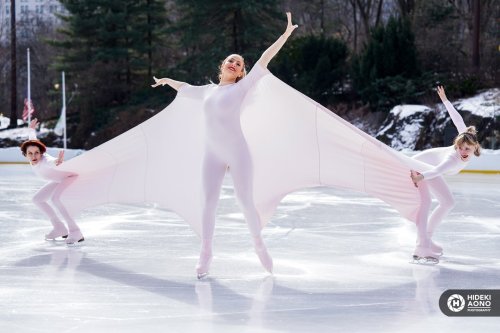 Carousel post from icetheatreofny.