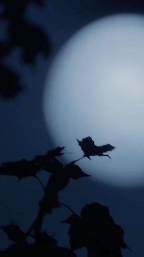 Video post from berkeleylab.